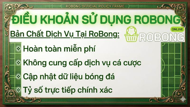 Bản Chất Dịch Vụ Tại RoBong
