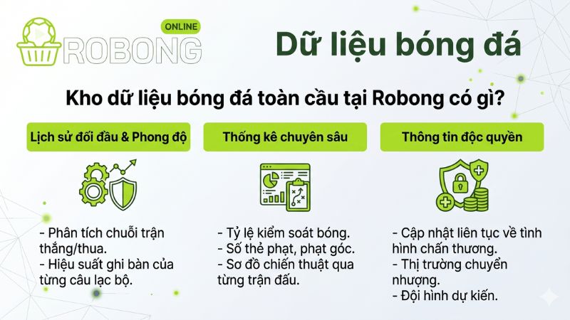 Kho dữ liệu bóng đá toàn cầu tại Robong có gì?